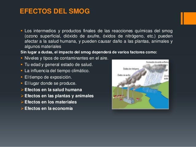 Smog fotoquimico efectos en el medio ambiente Smog fotoquimico efectos en el medio ambiente